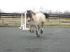 To view the larger image click on this thumbnail.