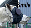 Nancy's horse "Ms Dee" - To visit the testimonial please click on the thumbnail.